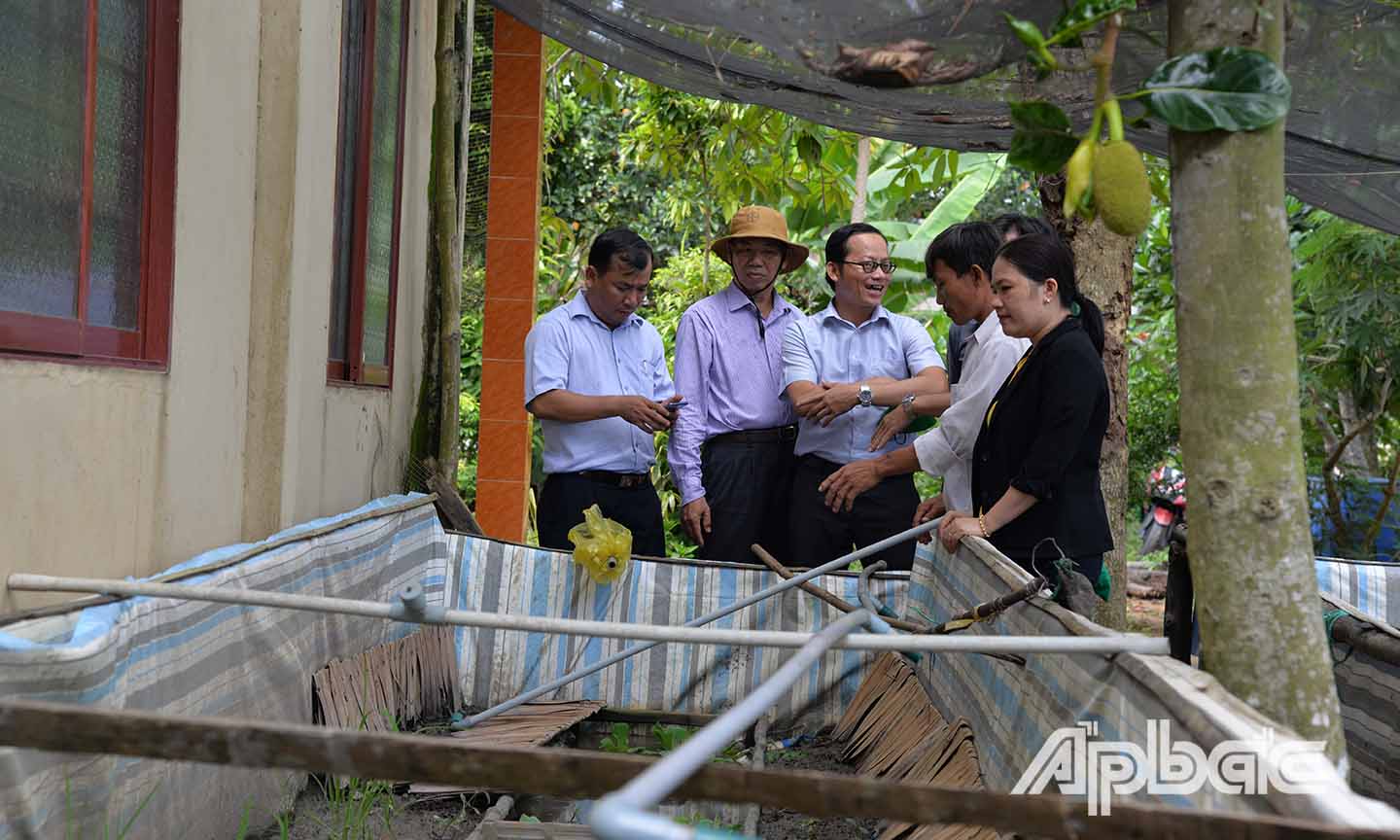 Đoàn đến khảo sát mô hình nuôi lương thương phẩm từ giống nhân tạo ở xã Mỹ Phước Tây (Thị xã Cai Lậy).