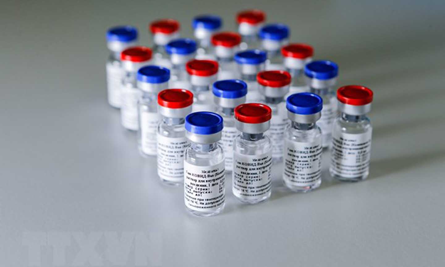 Vắcxin Sputnik V của Nga. (Ảnh: AFP/TTXVN)