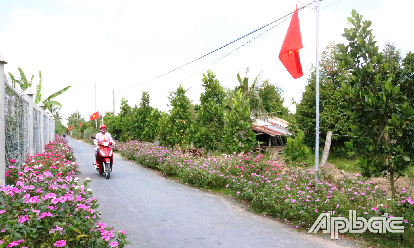 Quê hương Cẩm Sơn ngày càng phát triển - ảnh Quế Ngân.
