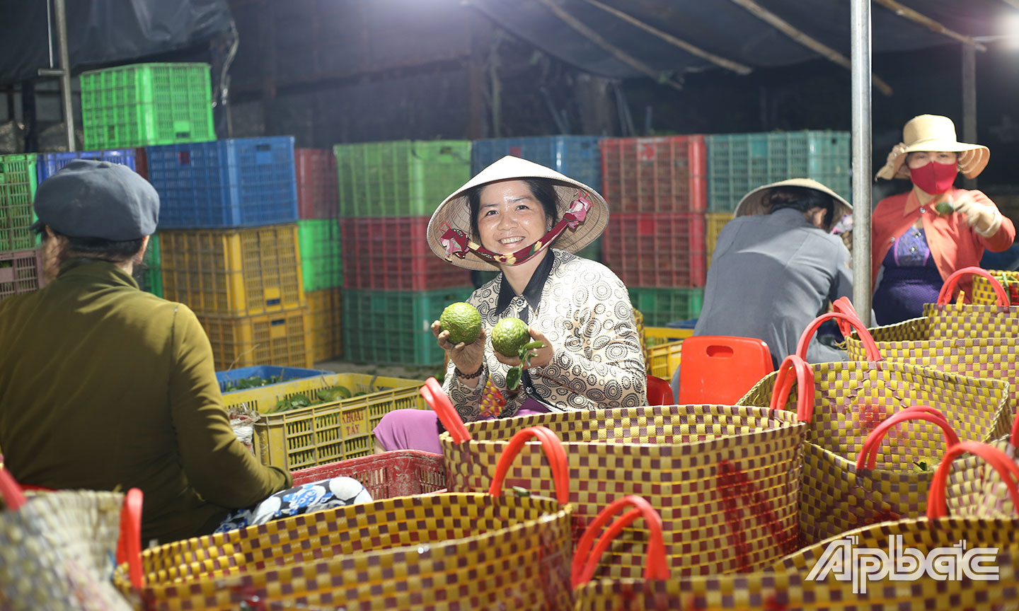 Tiểu thương chợ trái cây Vĩnh Kim bắt đầu công việc khi đêm về. 