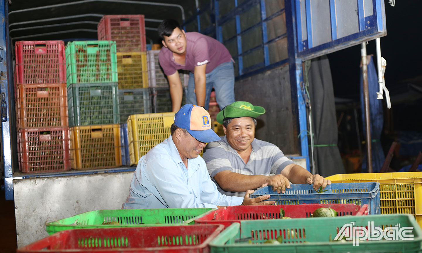 Vất vả làm việc cả đêm nhưng thu nhập của những người bốc vác, xếp hàng hóa ở chợ trái cây Vĩnh Kim chỉ khoảng 300.000 đồng/đêm.