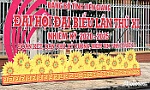 Rực rỡ cờ hoa, khẩu hiệu chào mừng Đại hội đại biểu Đảng bộ tỉnh Tiền Giang lần thứ XI