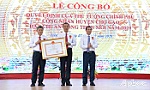 Chợ Gạo ra mắt huyện đạt chuẩn nông thôn mới
