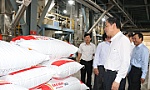 Bí quyết giúp hộ nuôi hạ giá thành sản xuất, vượt 