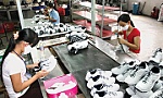 Sắp trình Chính phủ Nghị định 