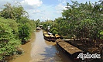 Làng cổ Đông Hòa Hiệp: Điểm đến hấp dẫn du khách