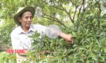 Kỳ cuối: Không để ai bị bỏ lại phía sau