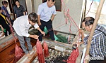 Đồng hành cùng nông dân đẩy mạnh sản xuất