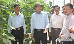 Nâng cao hiệu quả hoạt động các hợp tác xã nông nghiệp