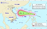 Cảnh báo thông tin sai sự thật về cường độ bão số 8