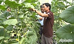 Phát triển các mô hình sản xuất hiệu quả