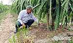 Đưa khoa học công nghệ vào sản xuất nông nghiệp
