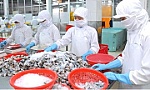 Xuất khẩu của Việt Nam không phải hoàn toàn nhờ... 