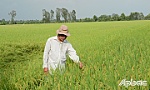 Hoạt động hiệu quả, giúp thành viên nâng cao thu nhập