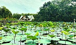 Nước nổi Trà Sư