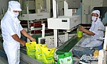 Tận dụng lợi thế gạo Việt