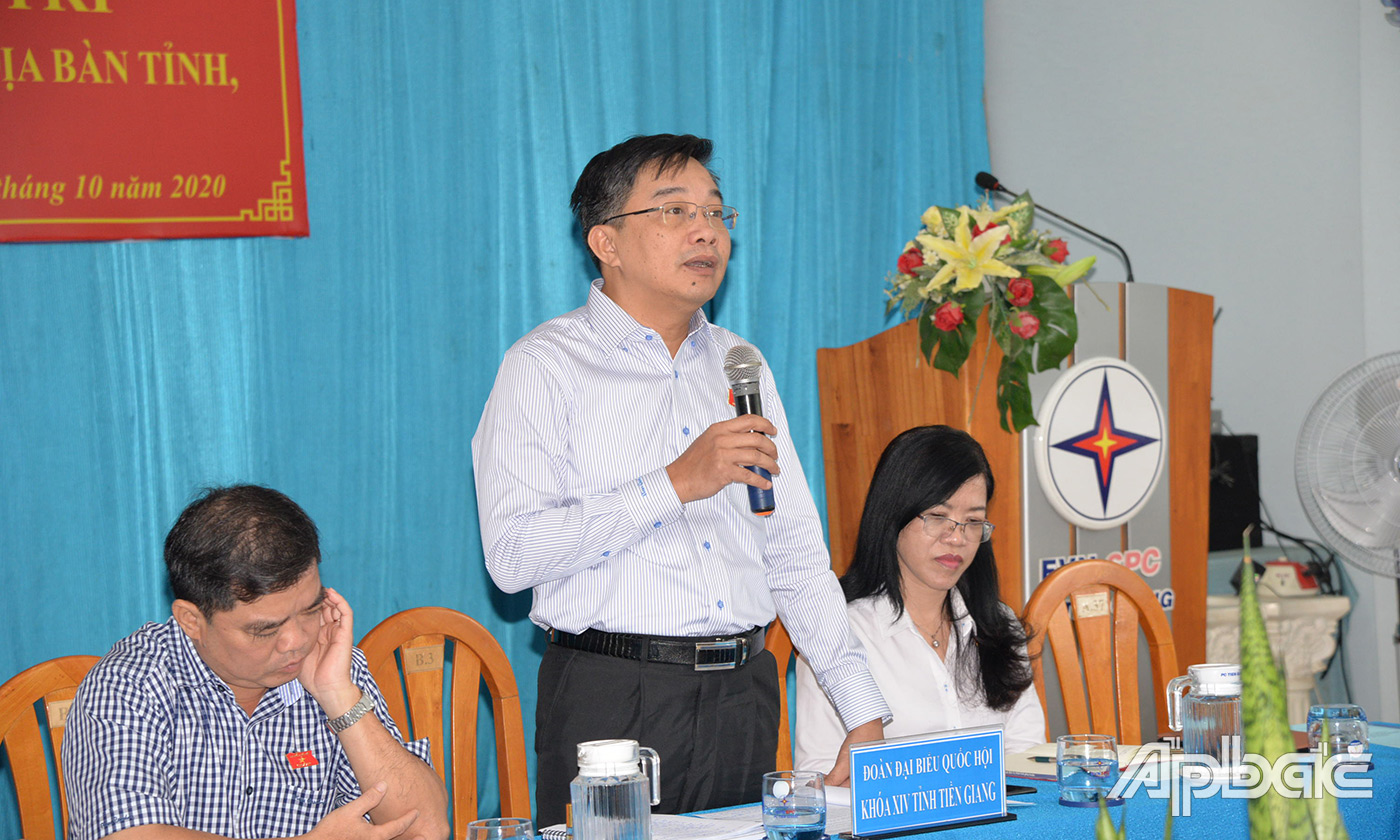 ĐBQH đơn vị tỉnh Tiền Giang phát biểu ý kiến tại buổi làm việc