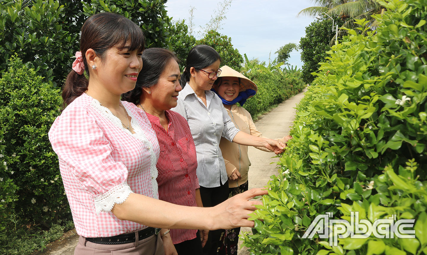 Chị Thúy (đứng đầu) cùng các hội viên trên “Con đường văn hóa” do Hội LHPN xã Thạnh Lộc tự quản.