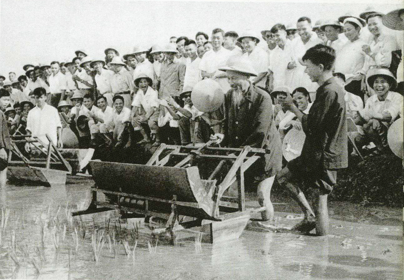 Chủ tịch Hồ Chí Minh dùng thử máy cấy lúa cải tiến tại Trại thí nghiệm trồng lúa Sở Nông lâm Hà Nội (tháng 7-1960).