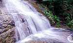 Long lanh 