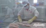 Xuất khẩu gặp khó khăn
