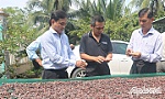 Khảo sát các mô hình sản xuất nông nghiệp hiệu quả
