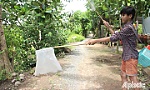 Câu rắn mối cho thu nhập khá