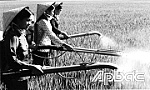 Sự phối hợp giữa 