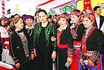 Lãnh đạo Đảng, Nhà nước dự Ngày hội Đại đoàn kết toàn dân tộc ở các địa phương