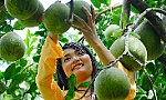 Định vị tiềm năng, nhận diện thách thức để bứt phá vươn lên