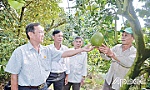 20 năm và hiệu quả một phong trào