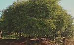 Sống anh hùng, chết lưu danh