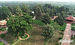 Về Đình Long Hưng hôm nay