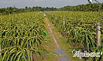 Giảm nghèo gắn với xây dựng nông thôn mới