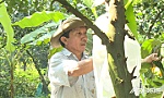 Phát huy vai trò làm chủ của nông dân