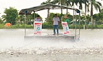 Trách nhiệm xã hội của doanh nghiệp