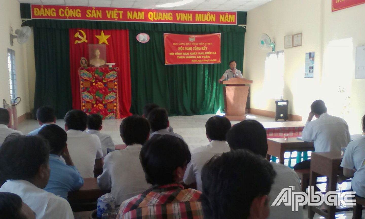 Trồng rau diếp cá theo hướng an toàn tại xã Nhị Bình