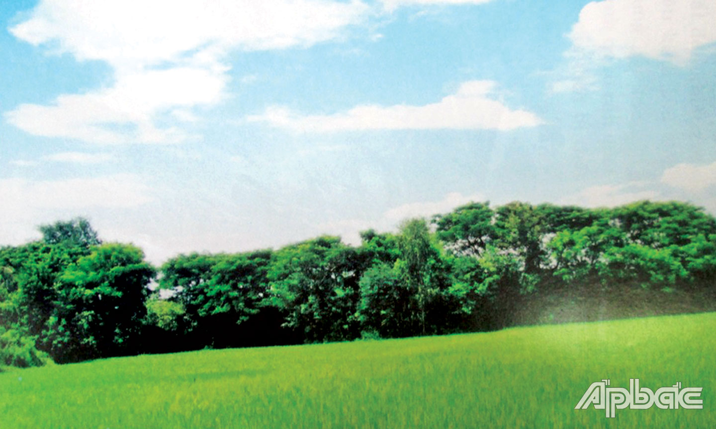 Địa điểm nơi diễn ra trận đánh ngày 24-10-1947 tại ấp  Đăng Nẵm, xã Đăng Hưng Phước (ảnh đăng trong quyển  “Lịch sử Đảng bộ xã Đăng Hưng Phước”).