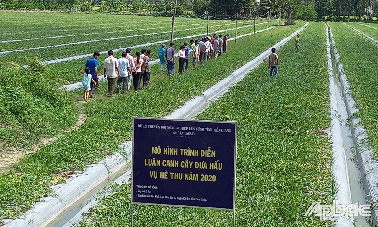 Nhiều nông dân được hưởng lợi từ Dự án VnSAT.