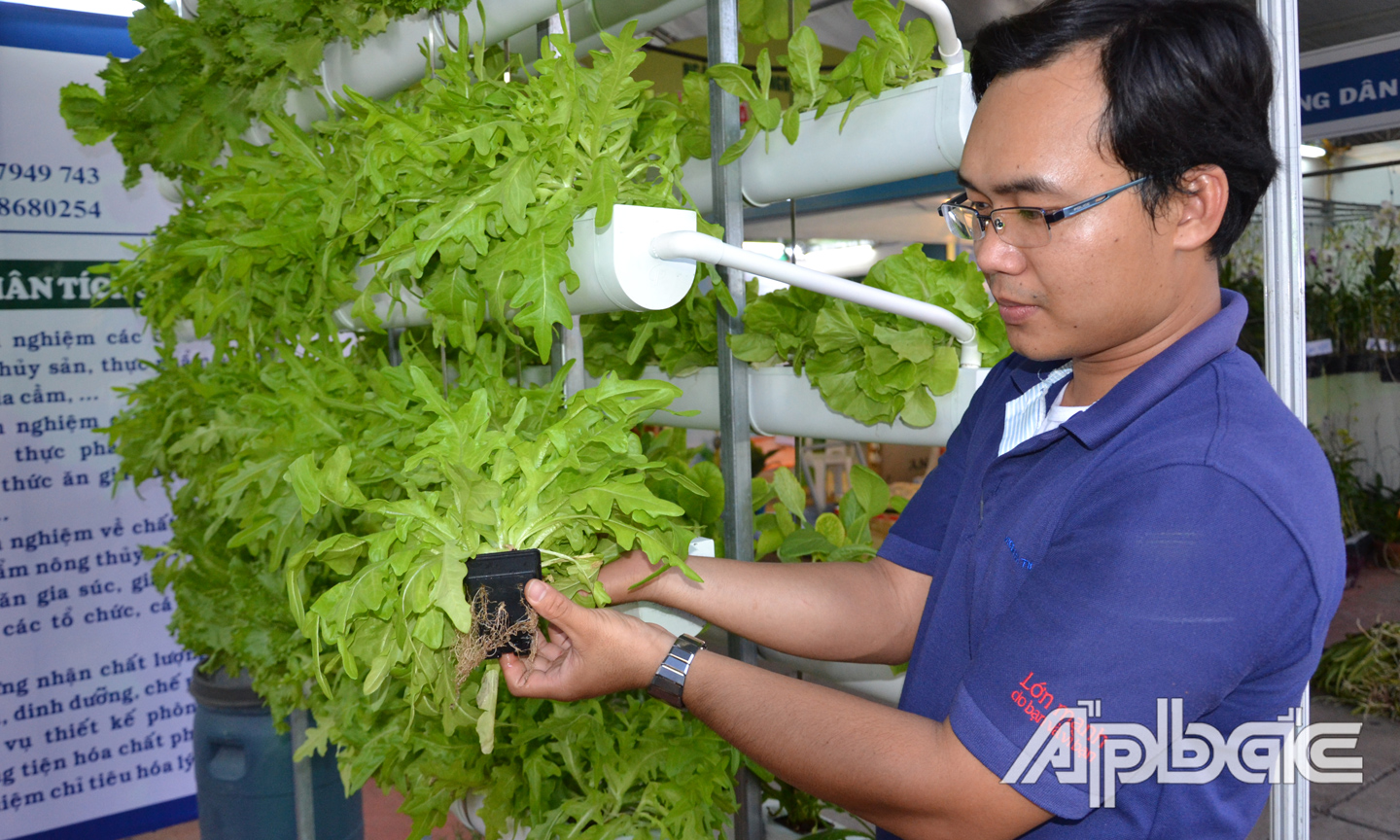Nông nghiệp công nghệ cao là mục tiêu ngành Nông nghiệp đang hướng đến.