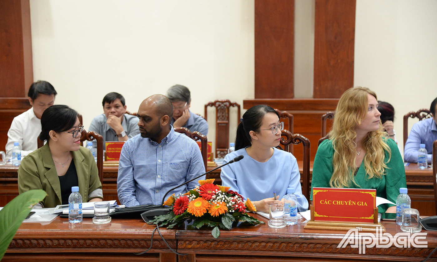 Các đại biểu là chuyên gia tham dự hội nghị.