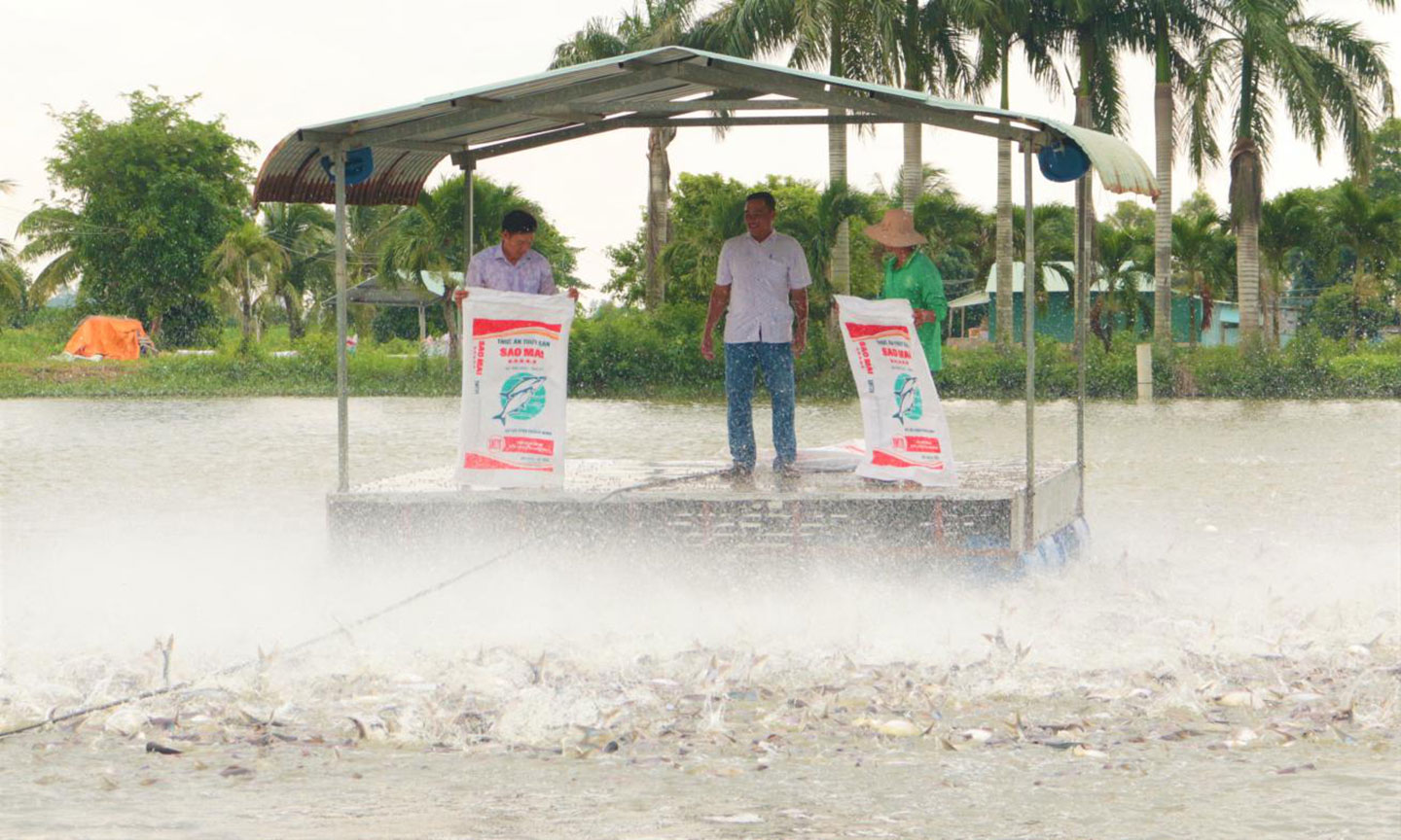 Mô hình liên kết hộ nuôi với nhà máy chế biến cá xuất khẩu được đánh giá mang lại hiệu quả kinh tế cao.
