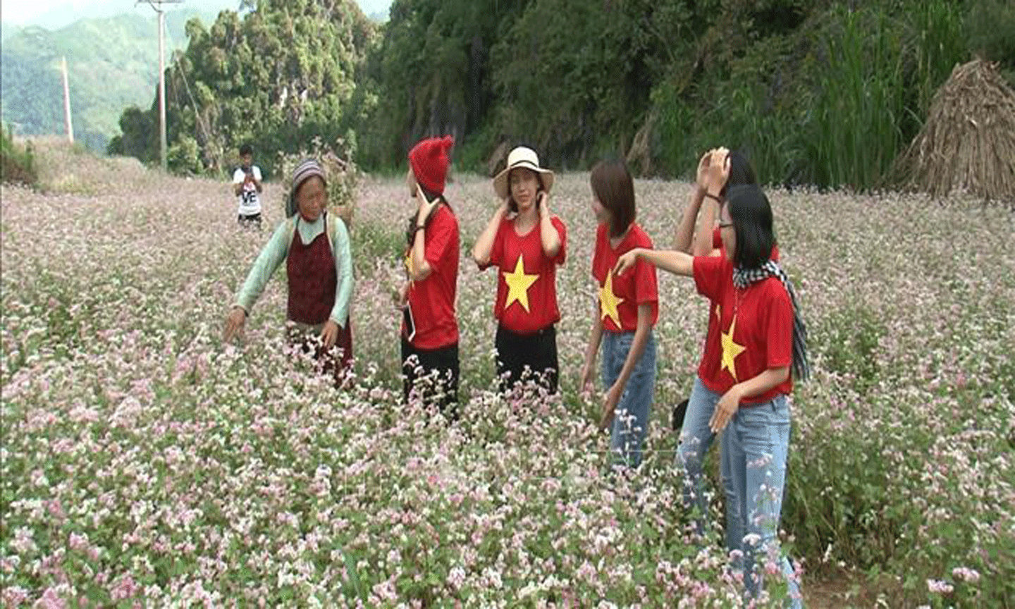 Du khách chụp ảnh hoa tam giác mạch tại điểm du lịch thuộc xã Quyết Tiến, huyện Quản Bạ (Hà Giang). Ảnh: Quyết Chiến/TTXVN