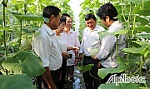 Hướng đi mới trong phát triển nông nghiệp
