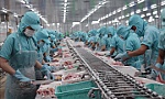 VASEP dự báo xuất khẩu thủy sản năm 2020 đạt khoảng 8,6 tỷ USD