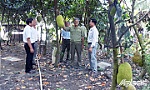 Cựu chiến binh giúp nhau thoát nghèo