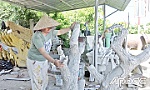 Góp phần làm đẹp cho đời