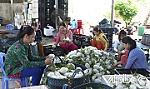 Hướng đến sản xuất nông sản an toàn