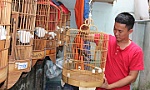 Có một thú vui thật là tao nhã