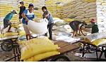Nông nghiệp chuyển mình mạnh mẽ trong thiên tai, dịch bệnh